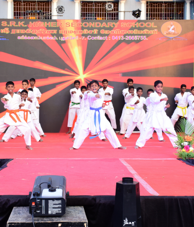 Yoga, Karate and Cultural Programs